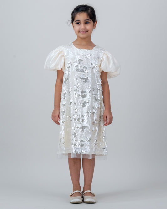 Grey Ivory Sequin Dress